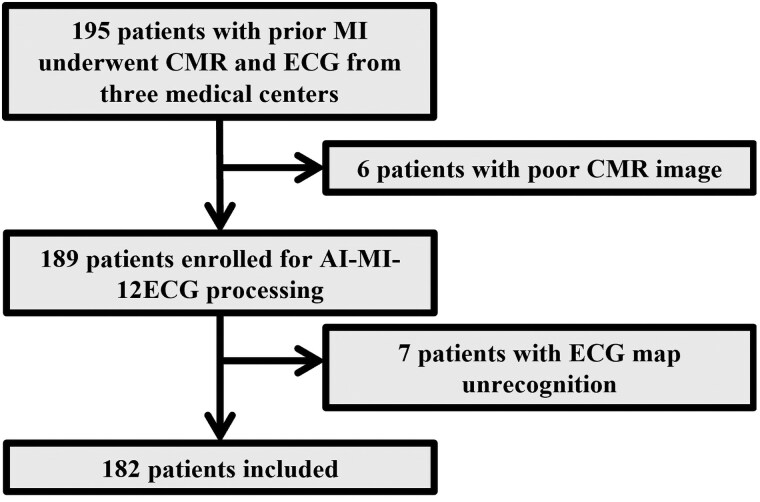 Artificial intelligence-based accurate myocardial infarction mapping using 12-lead electrocardiography.