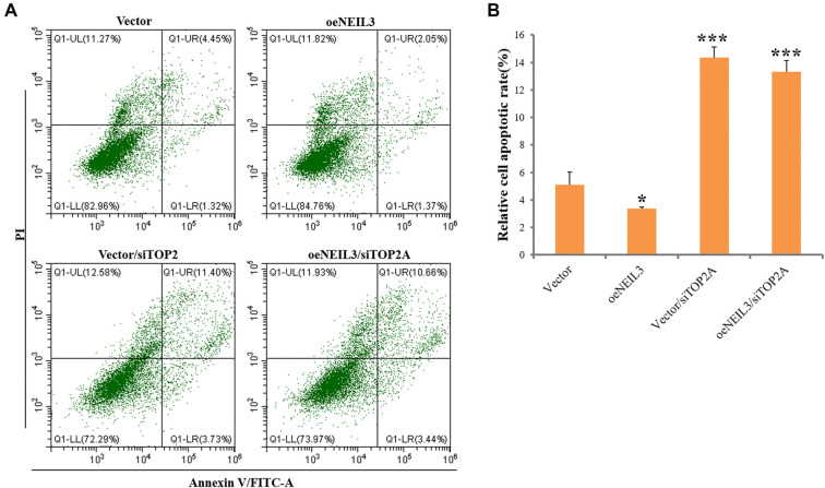 NEIL3 and TOP2A as key drivers of esophageal cancer through WNT signaling.