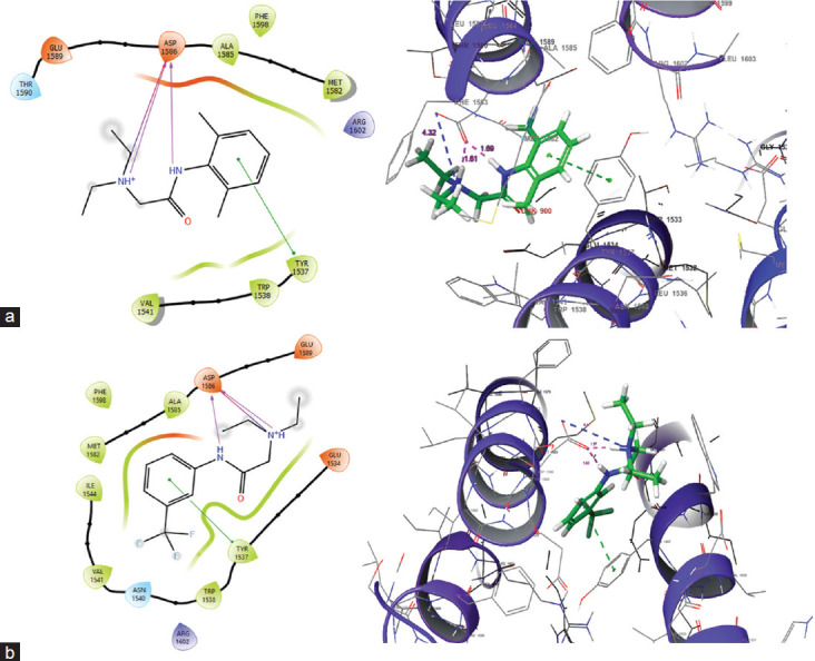 Three-dimensional Quantitative Structure-activity Relationship, Molecular Docking and Absorption, Distribution, Metabolism, and Excretion Studies of Lidocaine Analogs Pertaining to Voltage-gated Sodium Channel Na<sub>v</sub>1.7 Inhibition for the Management of Neuropathic Pain.