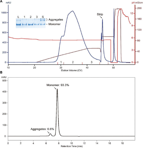 Efficient removal of antibody aggregates using TOYOPEARL MX-Trp-650M mixed-mode resin under salt or pH gradient elution.
