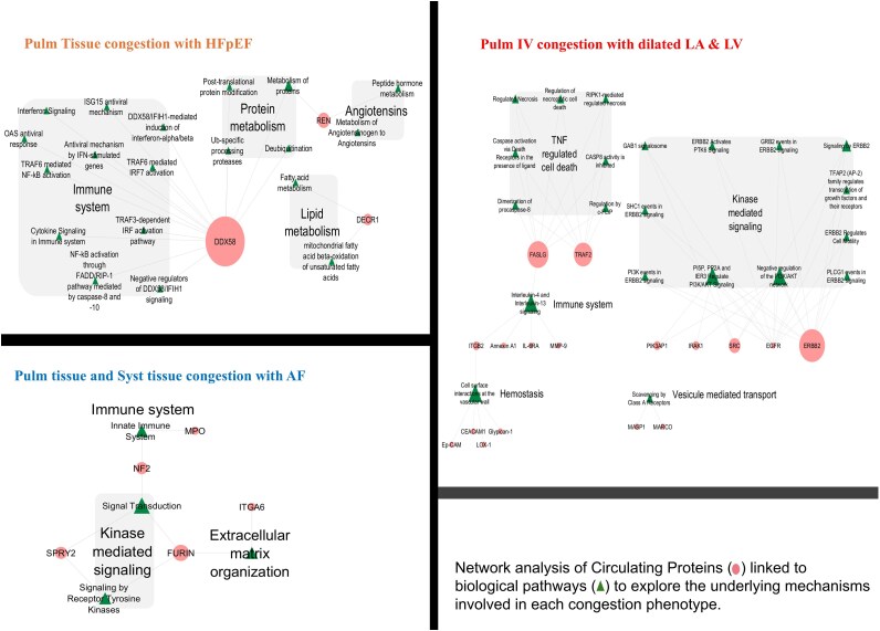 Identifying congestion phenotypes using unsupervised machine learning in acute heart failure.