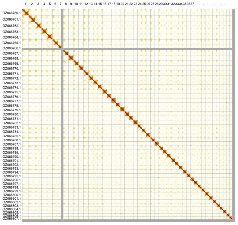 The genome sequence of the Marsh Pennywort, <i>Hydrocotyle vulgaris</i> L. (Apiales: Araliaceae).