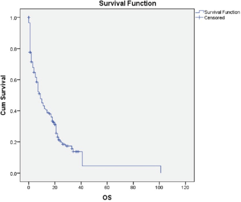 Clinico-pathological characteristics and treatment outcomes of patients with de-novo metastatic breast cancer: study from a tertiary cancer centre in North-East India.