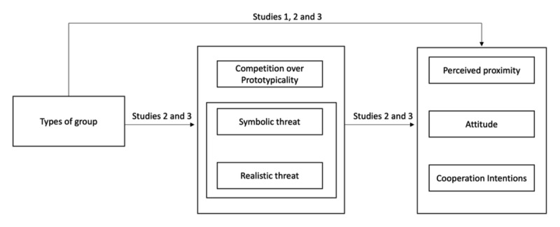 Fear of Being Supplanted: Intergroup Competition Over Prototypicality and Identity Threats Within Social Movements.