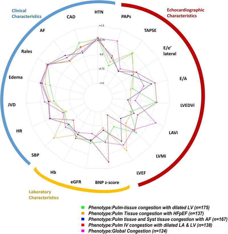 Identifying congestion phenotypes using unsupervised machine learning in acute heart failure.
