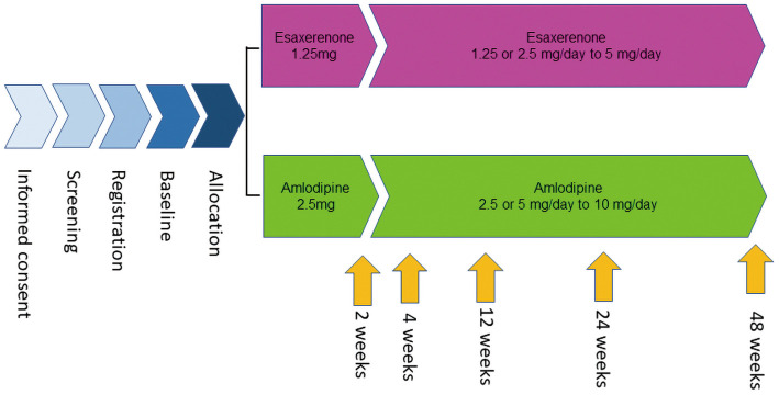 Rationale and Design of the ESPIAL Trial　- A Prospective, Randomized, Exploratory Study to Evaluate the Effect of Esaxerenone on Reduction of Urinary Albumin to Creatinine Ratio in Hypertensive Patients Concomitant With Heart Failure and Albuminuria.