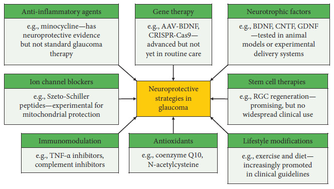 Exploring Glaucoma: From Pathogenesis to Emerging Diagnostic and Management Strategies.