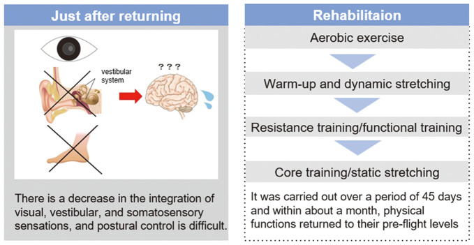Physiological Changes in the Cardiovascular System During Space Flight　- Current Countermeasures and Future Vision.