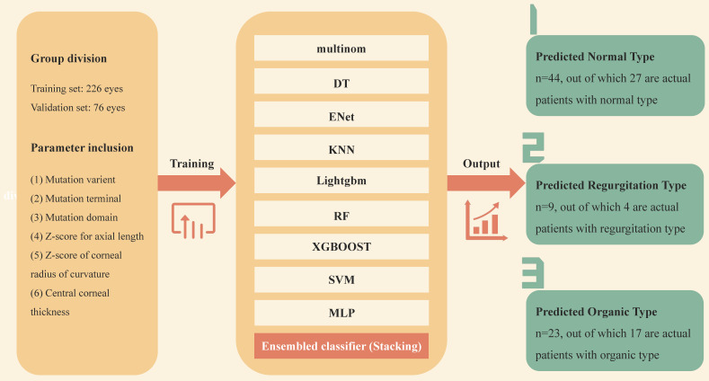 Establishment of a Stacking Machine Learning Model Predicting Cardiac Phenotype in Ectopia Lentis Patients Based on Genotype and Ocular Phenotype.