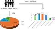 Clinical and genetic characteristics of Cornelia de Lange syndrome in pediatric patients.