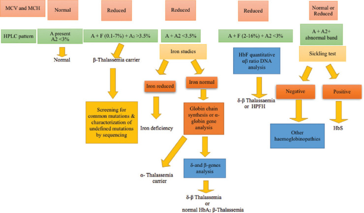 Challenges Associated with the Identification of Abnormal Hemoglobin Variants Utilizing the High-performance Liquid Chromatograph Technique: A Prospective Study in a Hospital Setting in Gujarat.