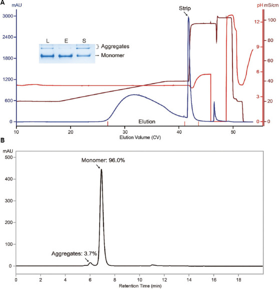Efficient removal of antibody aggregates using TOYOPEARL MX-Trp-650M mixed-mode resin under salt or pH gradient elution.