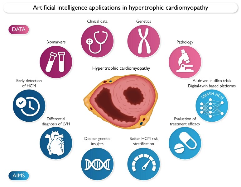 Artificial intelligence applications in hypertrophic cardiomyopathy: turns and loopholes.