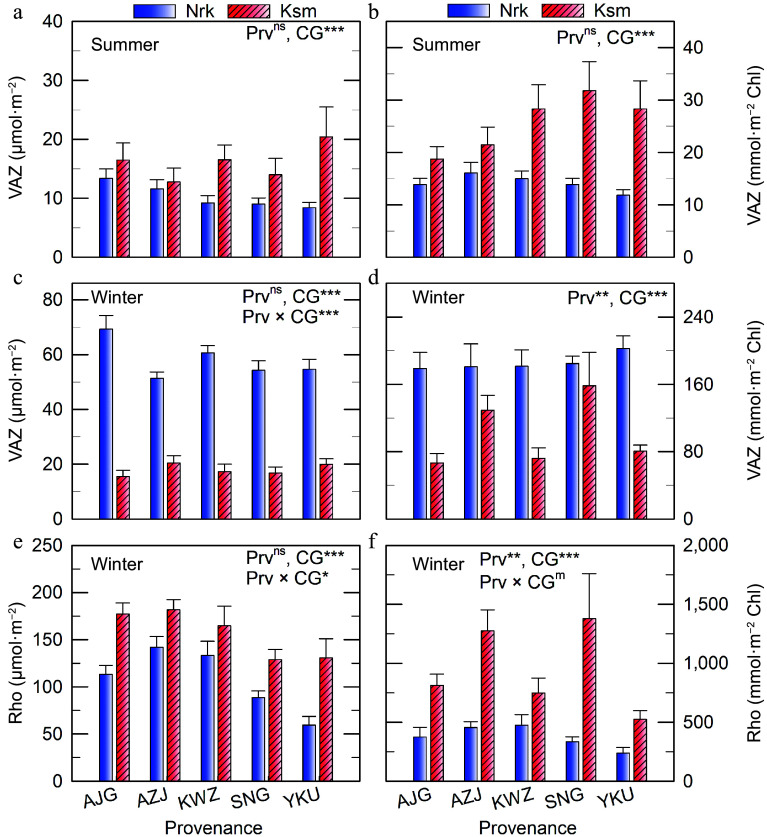 Photoprotective pigment plasticity and cold acclimation strategies in <i>Cryptomeria japonica</i> across two common gardens.