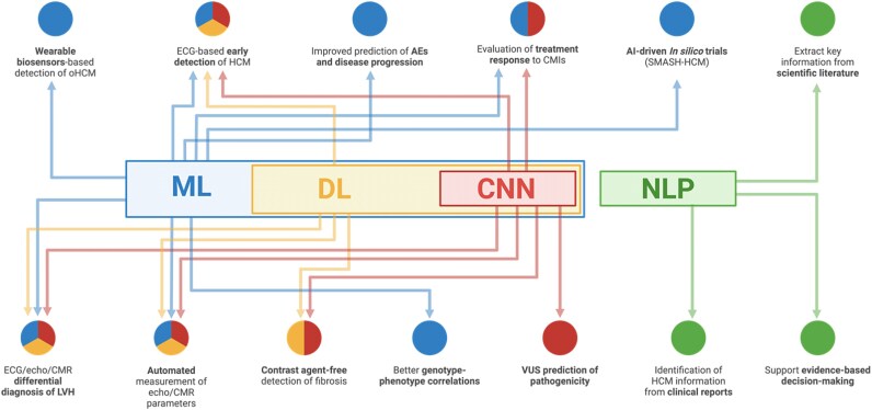 Artificial intelligence applications in hypertrophic cardiomyopathy: turns and loopholes.