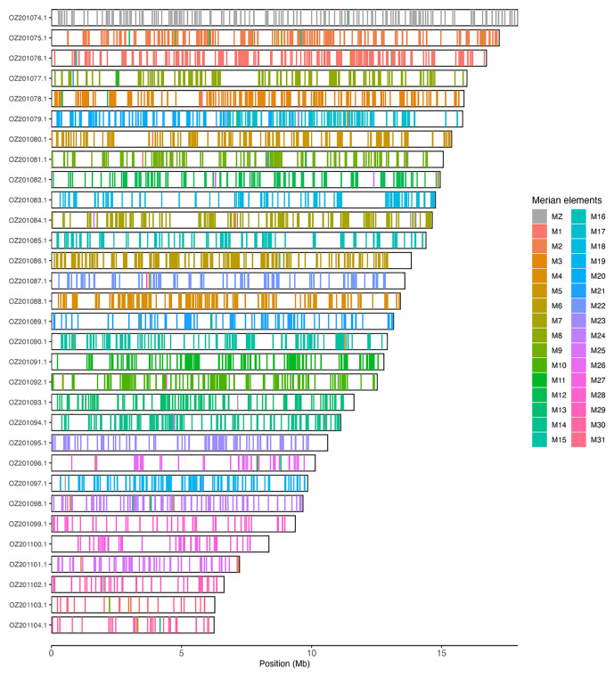 The genome sequence of the White-barred Clearwing, <i>Synanthedon spheciformis</i> (Denis & Schiffermüller), 1775 (Lepidoptera: Sesiidae).