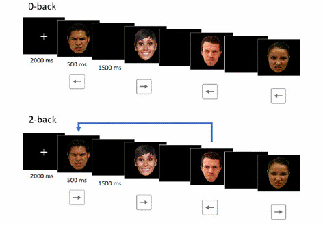 Fasting and Cognitive Load-Related Changes in Quantitative EEG Measures During an N-Back Task.