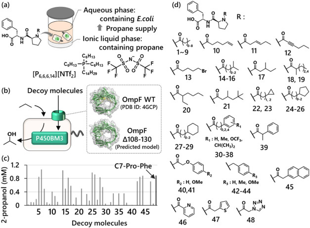 Recyclable Whole-Cell Biotransformation System for the Direct Hydroxylation of Propane Catalyzed by a Robust Intracellular Wild-Type Cytochrome P450BM3 Activated by Decoy Molecules.