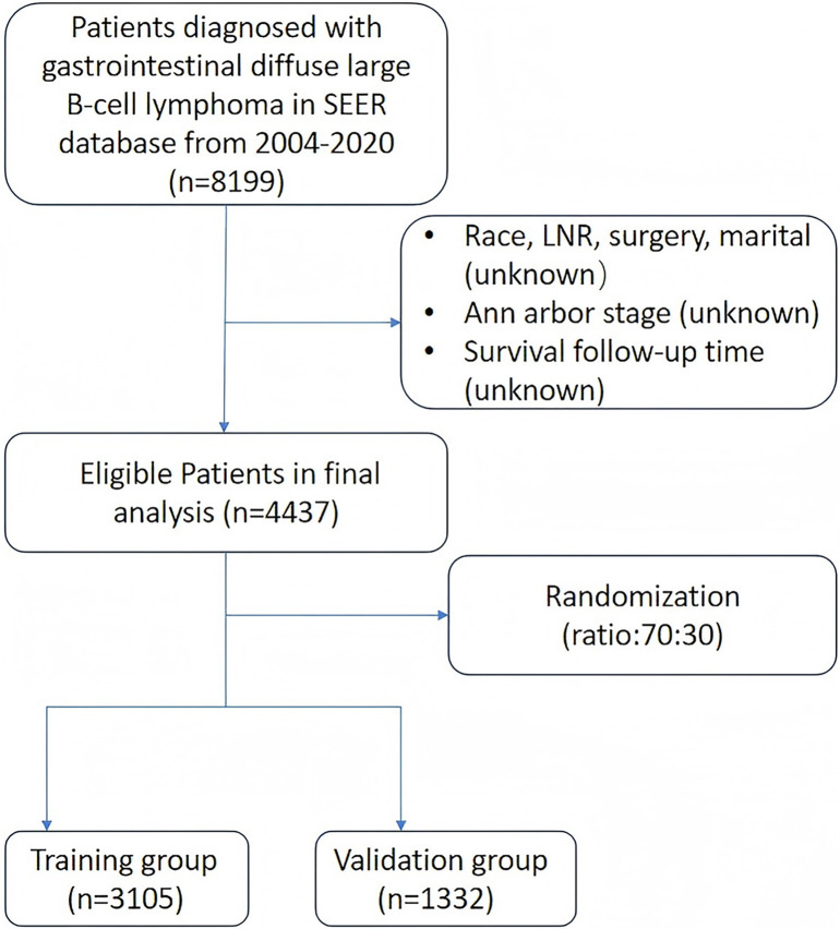 Gastrointestinal diffuse large B-cell lymphoma: Clinical characteristics and prognostic analysis from SEER database.