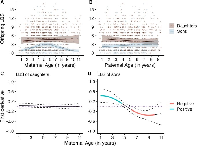 Persistent maternal age effects on male offspring fitness traits in a wild mammal population.