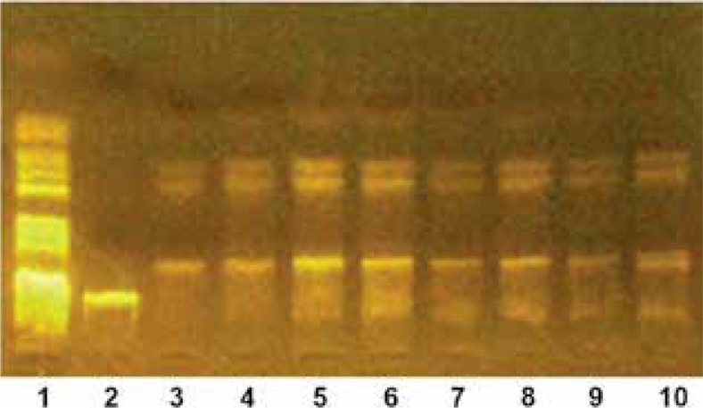 Association of skin microbiome with interleukin-23 in patients with plaque psoriasis.