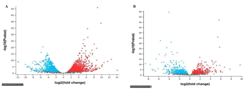 Transcriptomic-based analysis of endometrial tissues from adenomyosis patients reveals significant inflammation biomarkers: A bioinformatics study.