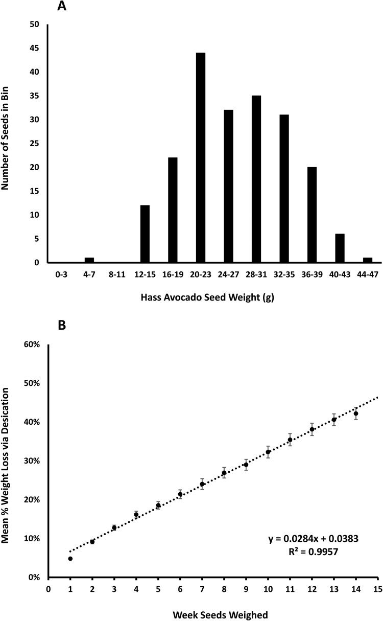 Does larval diet prior to Hass avocado seed consumption and seed size impact the fitness of adult <i>Heilipus lauri</i> (Coleoptera: Curculionidae)?
