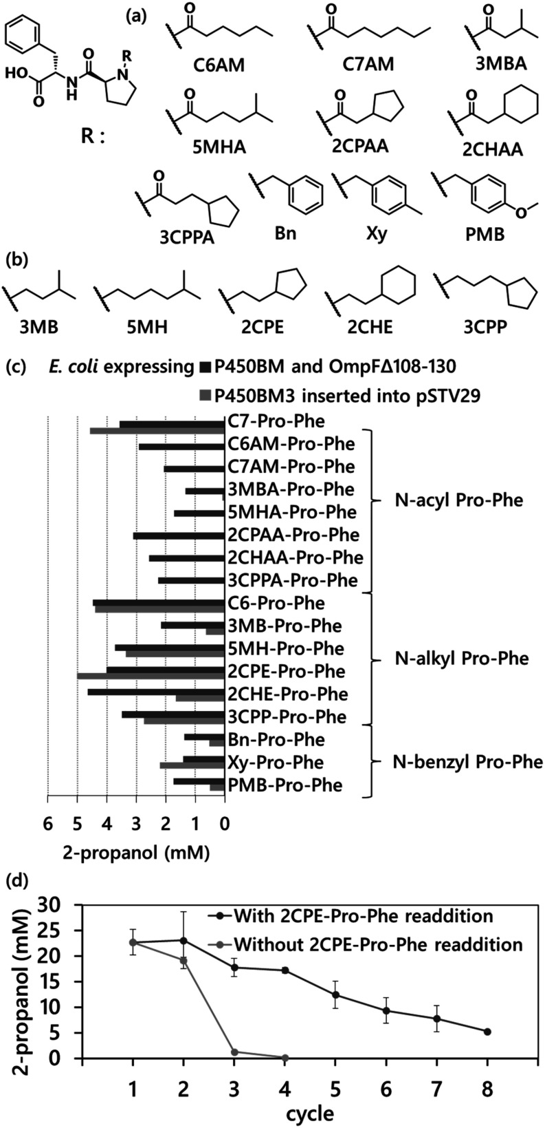 Recyclable Whole-Cell Biotransformation System for the Direct Hydroxylation of Propane Catalyzed by a Robust Intracellular Wild-Type Cytochrome P450BM3 Activated by Decoy Molecules.