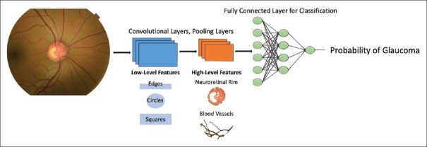 Applications of deep learning in the analysis of optical coherence tomography images for glaucoma-related diagnostics.
