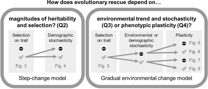 Predicting the contribution of single trait evolution to rescuing a plant population from demographic impacts of climate change.