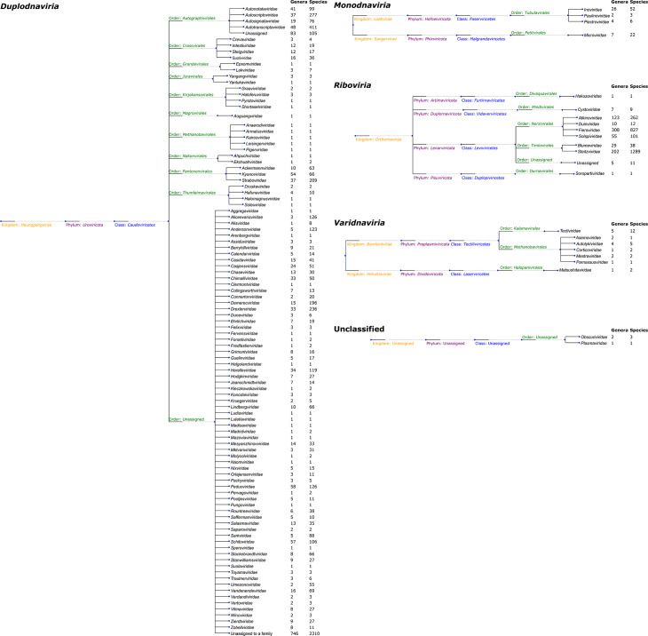 Summary of taxonomy changes ratified by the International Committee on Taxonomy of Viruses (ICTV) from the Bacterial Viruses Subcommittee, 2025.