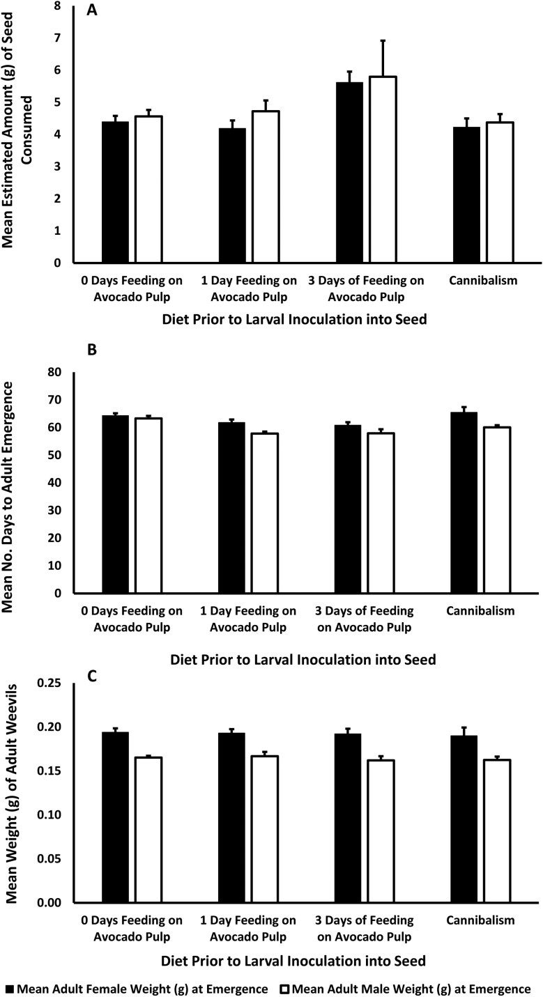 Does larval diet prior to Hass avocado seed consumption and seed size impact the fitness of adult <i>Heilipus lauri</i> (Coleoptera: Curculionidae)?