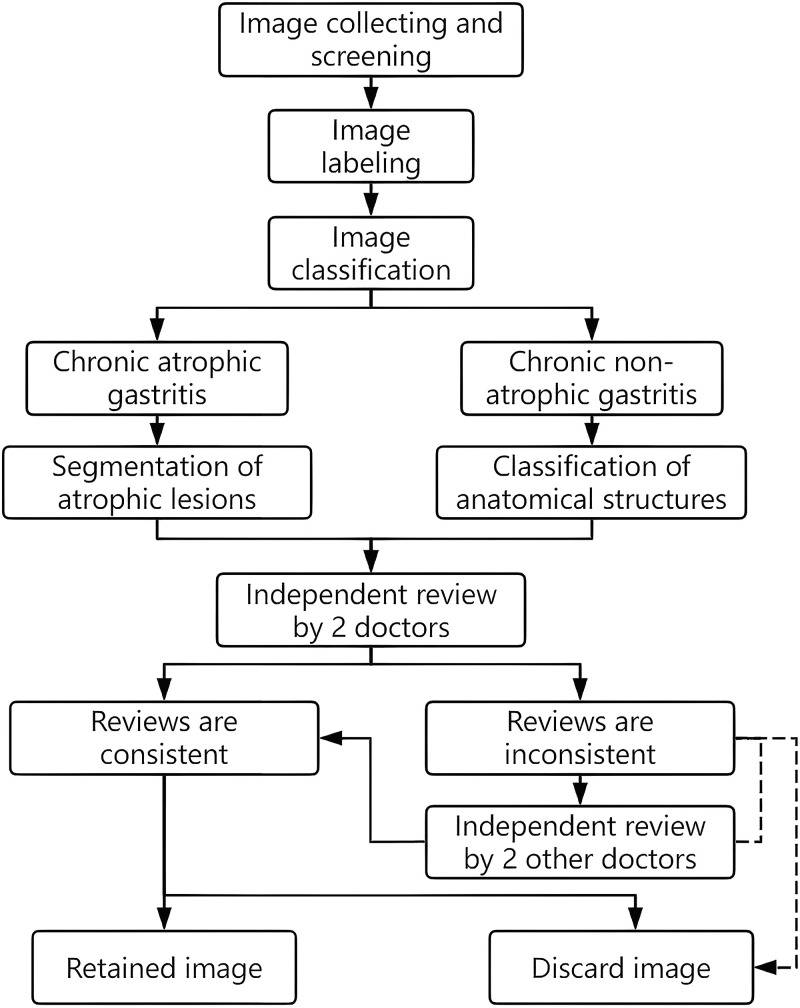 Constructing and validating vision transformer-based assisted detection models for atrophic gastritis: A retrospective study.