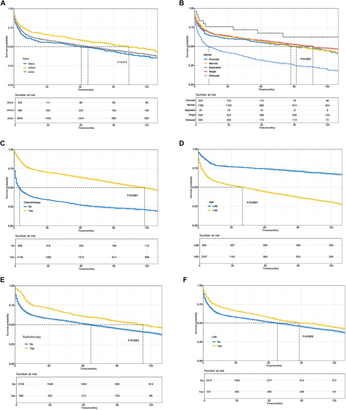 Gastrointestinal diffuse large B-cell lymphoma: Clinical characteristics and prognostic analysis from SEER database.