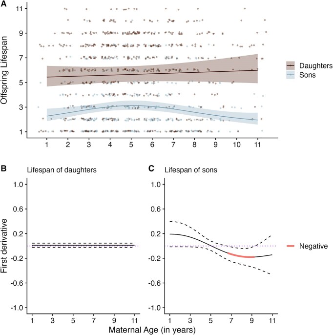 Persistent maternal age effects on male offspring fitness traits in a wild mammal population.