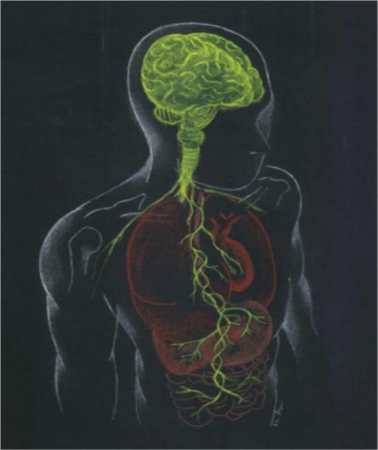 Probiotics, gut microbiota, and brain health: Exploring therapeutic pathways.