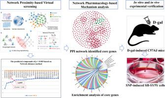 Isorhapontigenin, a potential anti-AD natural product targeting multiple pathways, discovered via network proximity and gene enrichment analyses