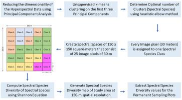 Remotely sensed mapping of plant diversity in Earth's largest mangrove forests: Developing a spectral diversity metric with DESIS hyperspectral data and the ‘spectral species’ concept