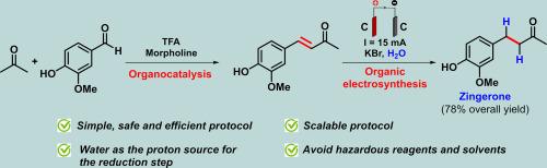 Organocatalysis and organic electrosynthesis as an alternative for zingerone preparation