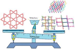Unlocking porosity: structural tuning of urea-based MOFs via reaction parameter control†