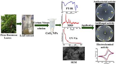 Biosynthesis of CeO2 Nanoparticles from Ficus Racemosa Leaves: Exploring Antimicrobial and Electrochemical Activities
