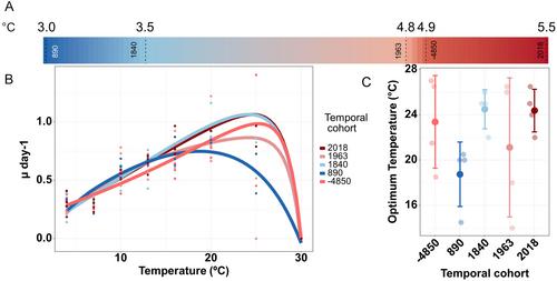 Millennia-Long Evolution of Temperature and Salinity Dependence of a Baltic Sea Diatom Revealed by Resurrection Experiments
