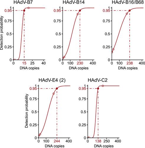 Development of a Rapid Isothermal Assay for Detection of Adenovirus Types Important in Respiratory Infections