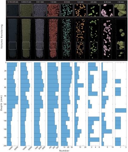 3D and 2D Clast Analysis of Apollo 17 Core Sample 73002: Insights Into the Light Mantle Dynamics and Regolith Reworking