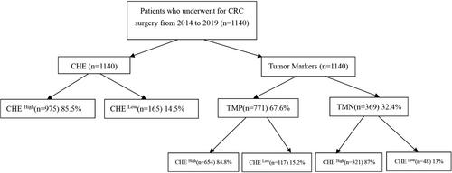 Low Cholinesterase Is a Potential Poor Prognostic Factor in Colorectal Cancer Presenting With Tumor Markers Negative