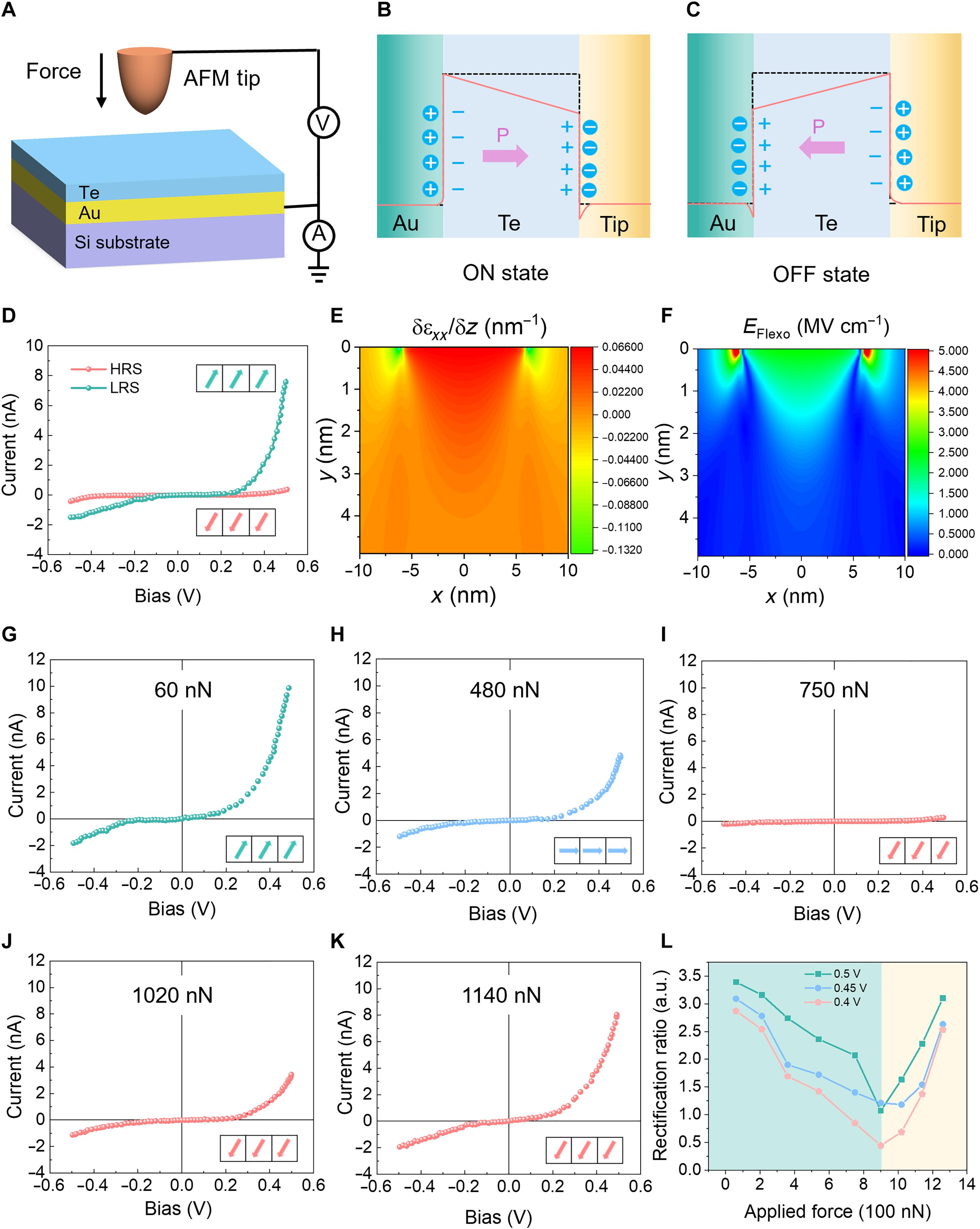Flexoelectric manipulation of ferroelectric polarization in self-strained tellurium