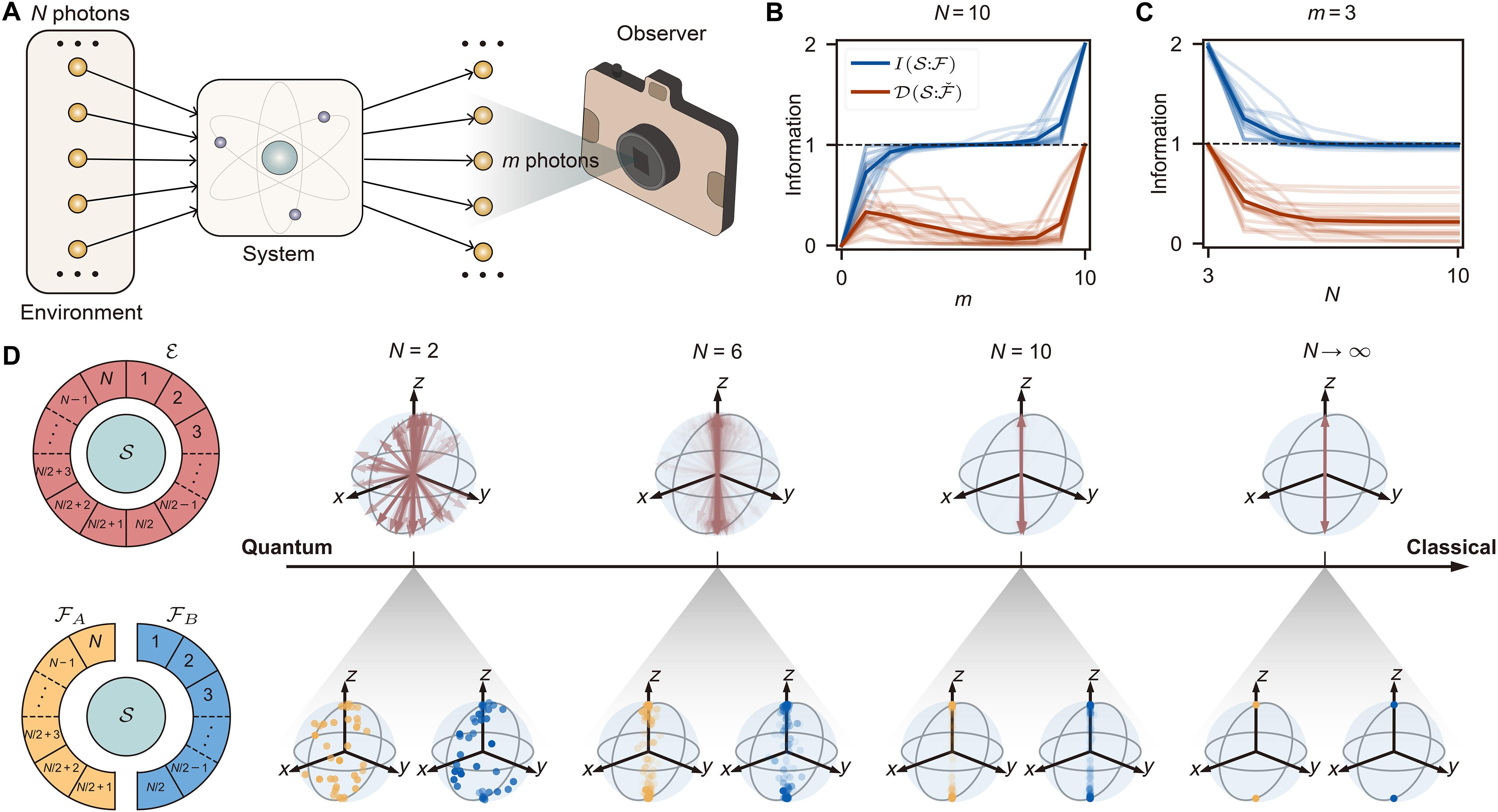 Observation of quantum Darwinism and the origin of classicality with superconducting circuits
