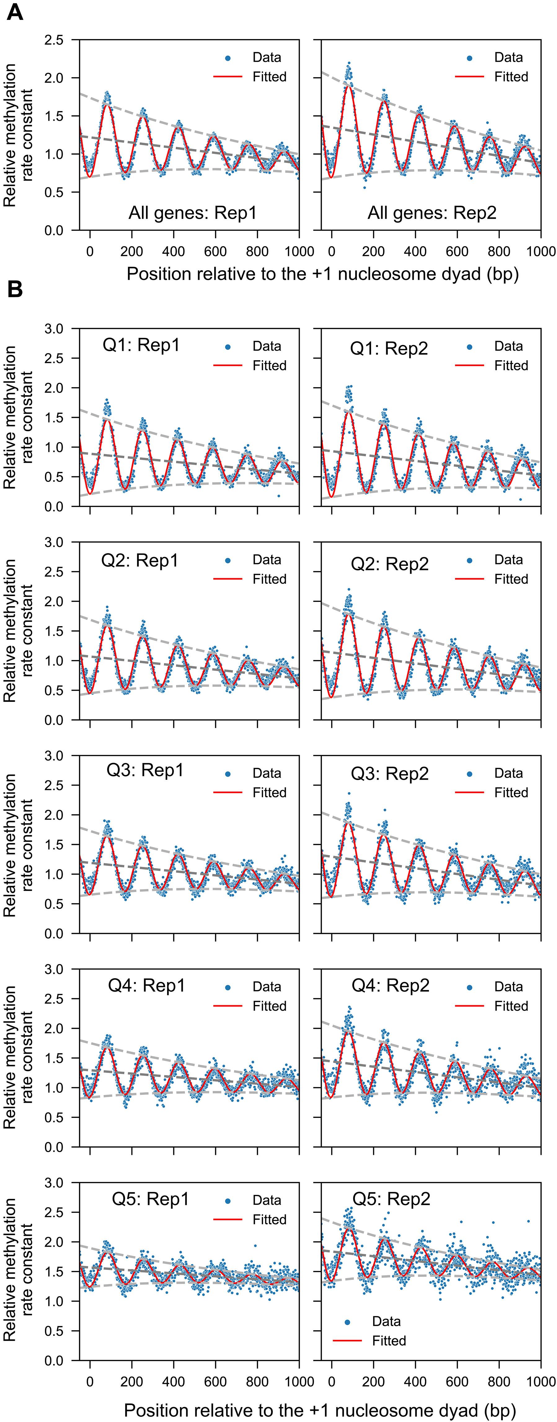 The ISW1 and CHD1 chromatin remodelers suppress global nucleosome dynamics in living yeast cells