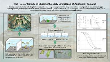 The role of salinity in shaping the early life stages of Aphanius fasciatus