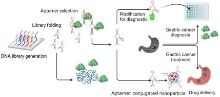 Advances in aptamer technology and its updated applications in gastric cancer